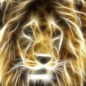 Meet your Posher, Troy